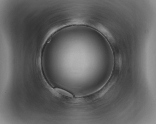 X0000110681334200906191357