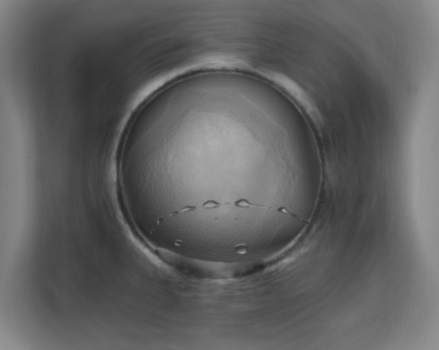 X0000110681335200906191357