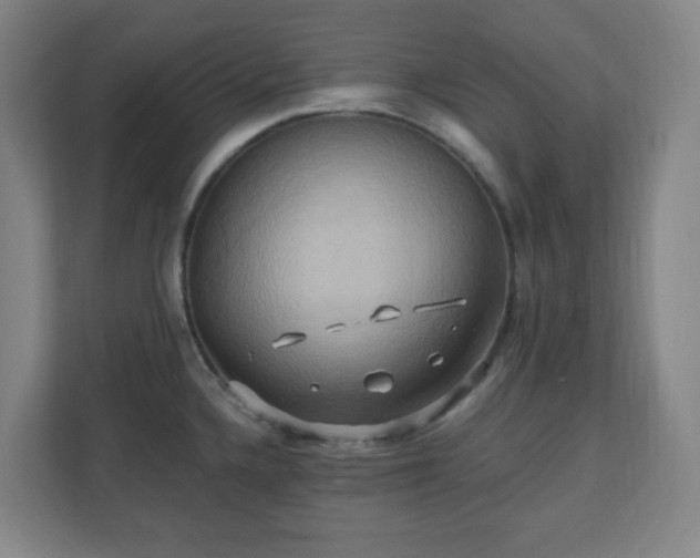 X0000110681336200906191357