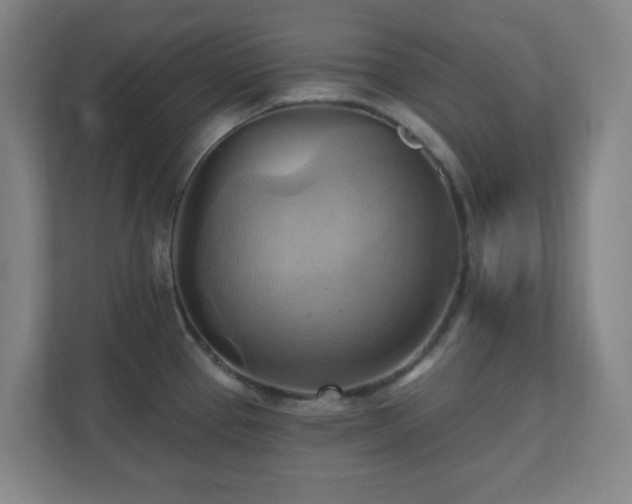 X0000110681337200906191357