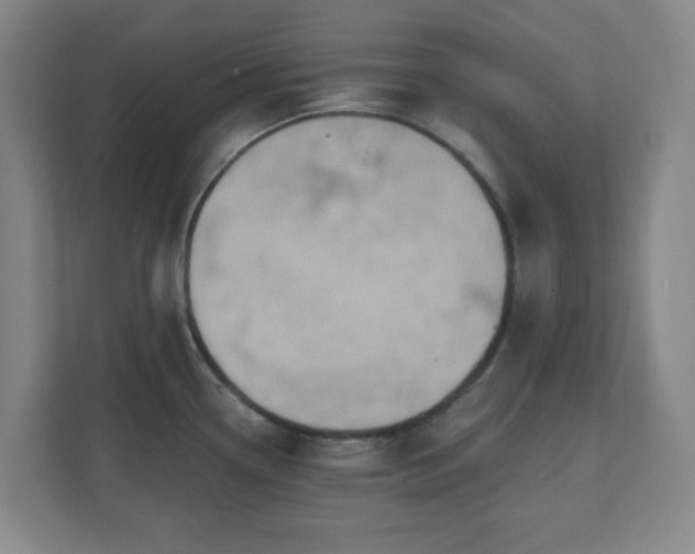 X0000110681338200906191357
