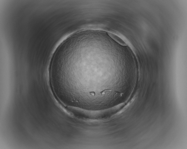 X0000110681341200906191357