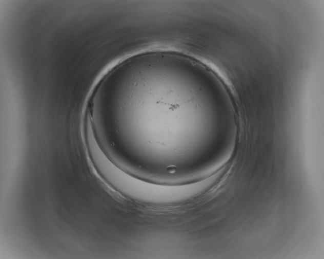 X0000110681342200906191357