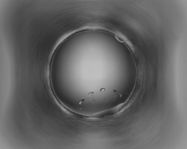 X0000110681343200906191357