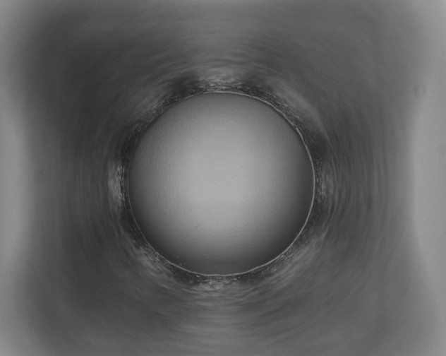X0000110681346200906191357