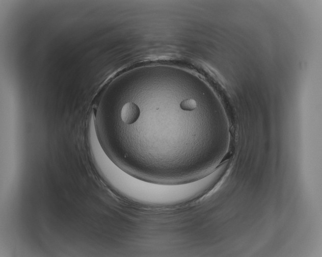 X0000110681353200906191357