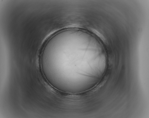 X0000110681356200906191357