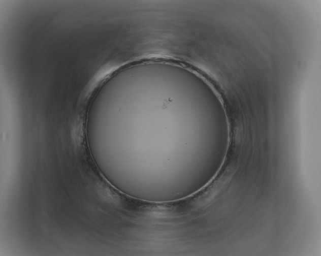 X0000110681359200906191357