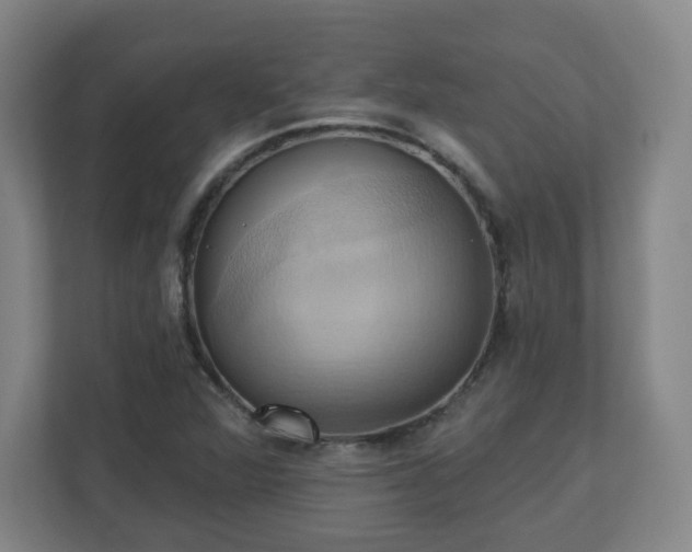 X0000110681360200906191357
