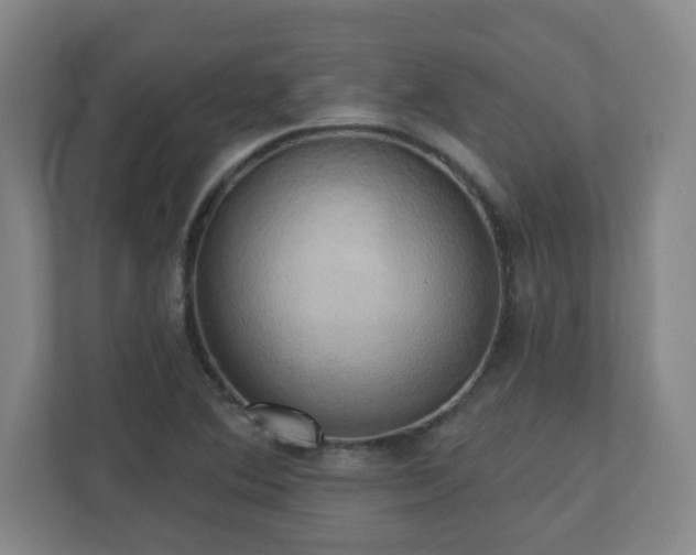 X0000110681364200906191356