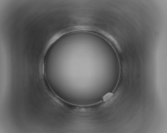 X0000110681365200906191356