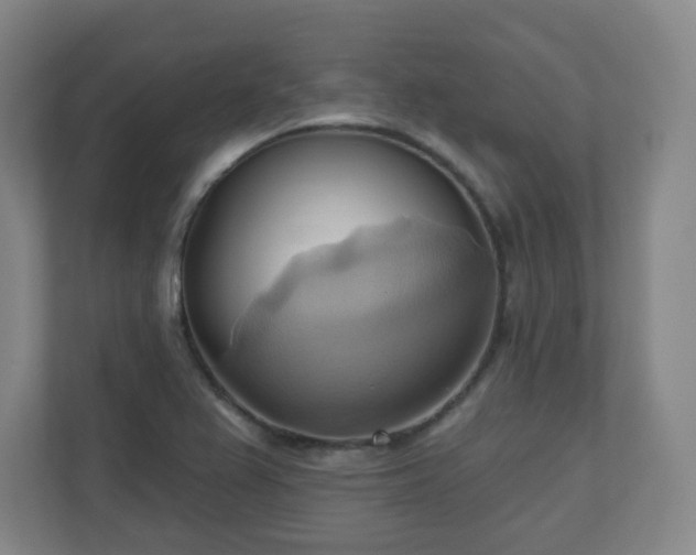 X0000110681367200906191356