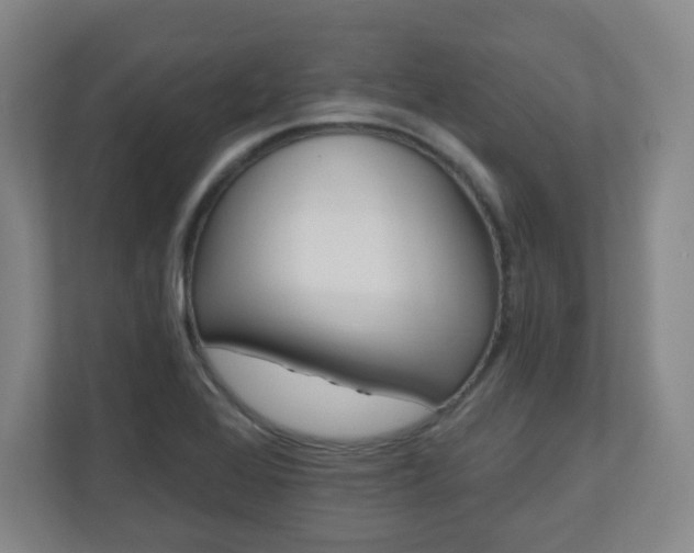 X0000110681368200906191356