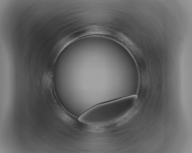 X0000110681369200906191356