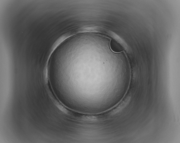 X0000110681370200906191356
