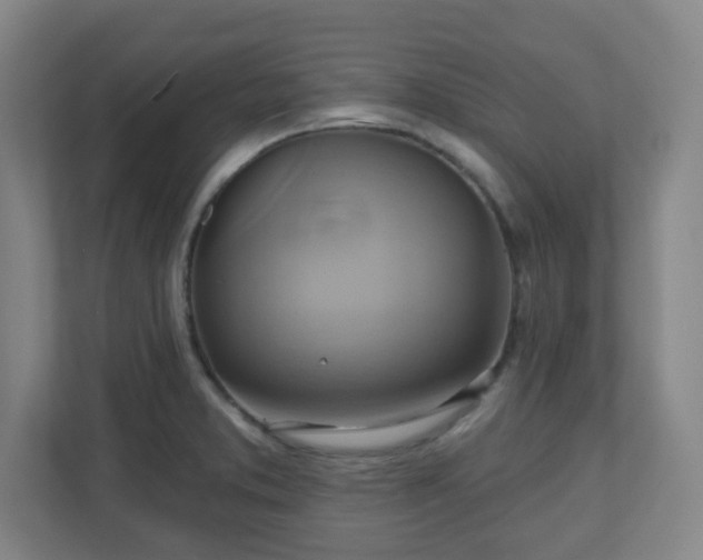 X0000110681373200906191356