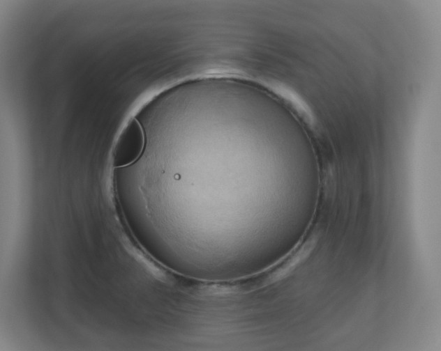 X0000110681374200906191356