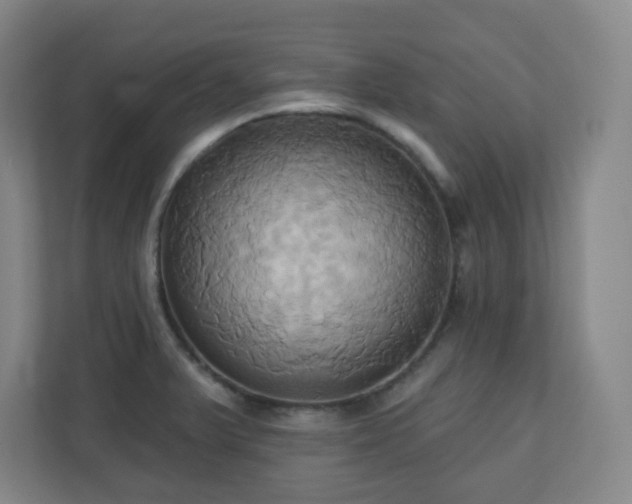 X0000110681375200906191356