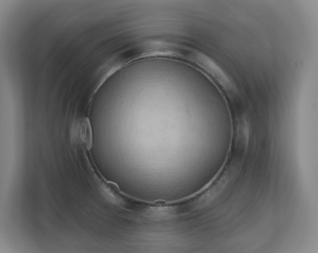 X0000110681377200906191356