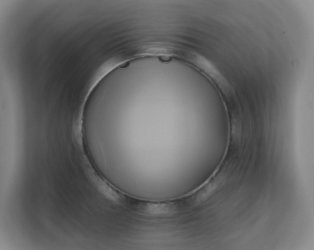 X0000110681378200906191356