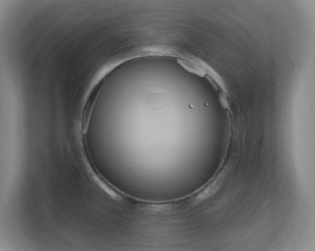 X0000110681381200906191356