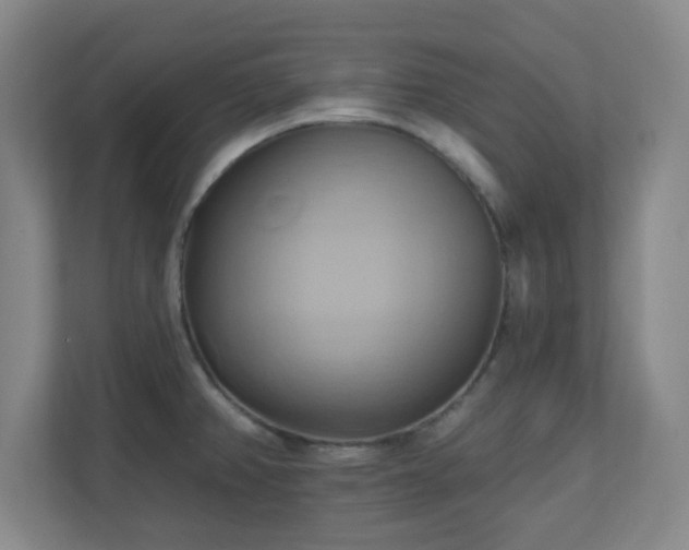X0000110681382200906191356