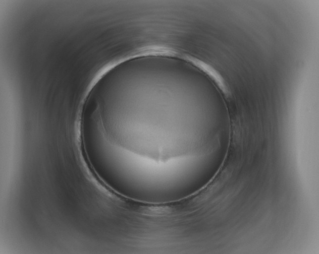 X0000110681383200906191356