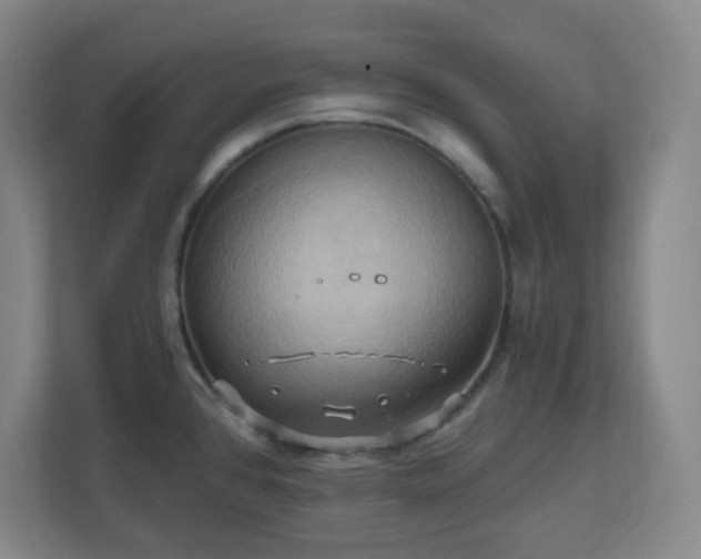 X0000110681384200906191356