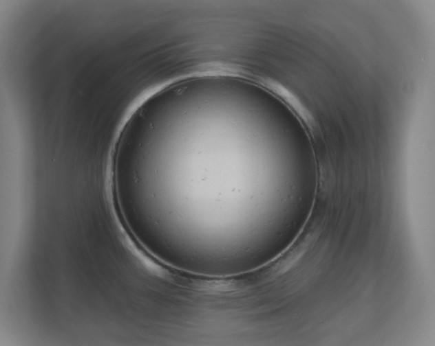 X0000110681387200906191356