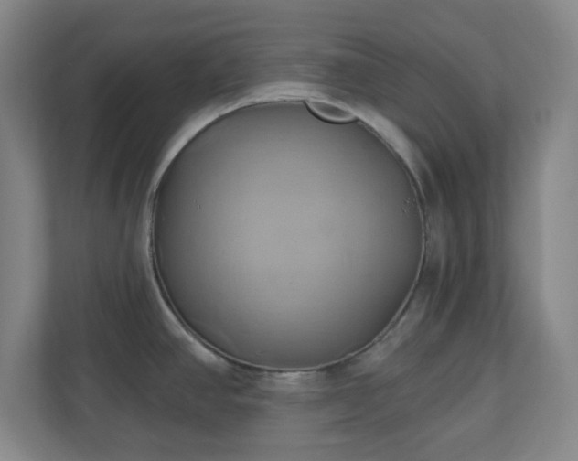 X0000110681390200906191356
