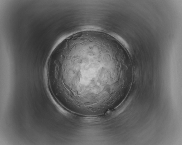 X0000110681391200906191356