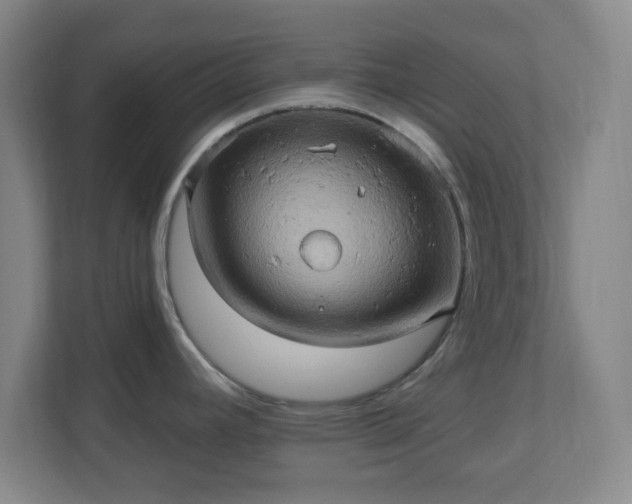 X0000110681392200906191356