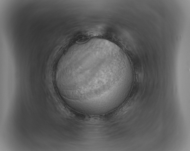 X0000110681393200906191356