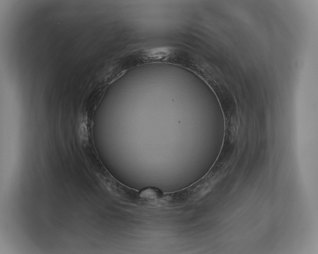 X0000110681394200906191356