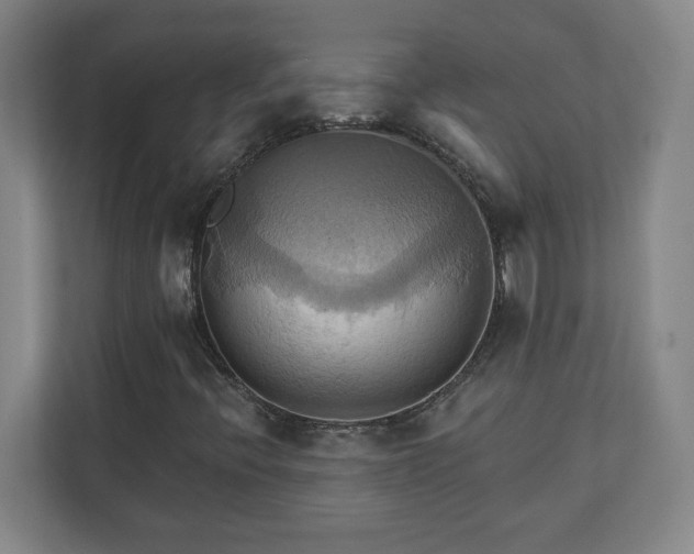 X0000110681396200906191356