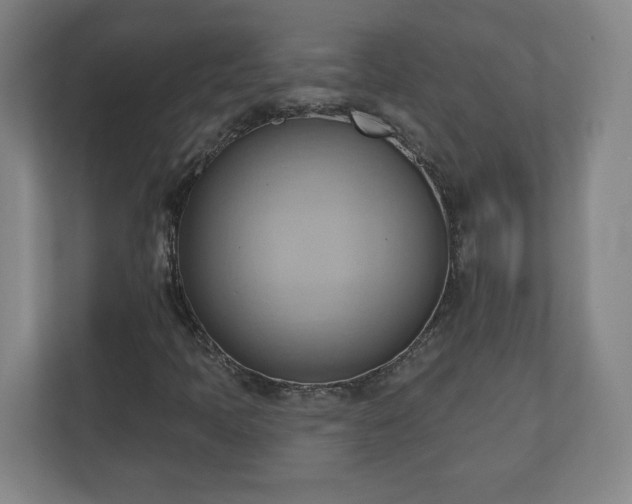 X0000110681397200906191356