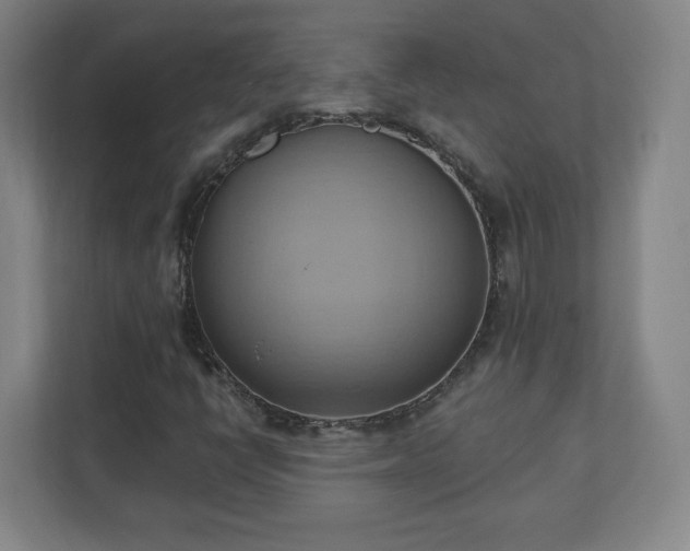 X0000110681398200906191356