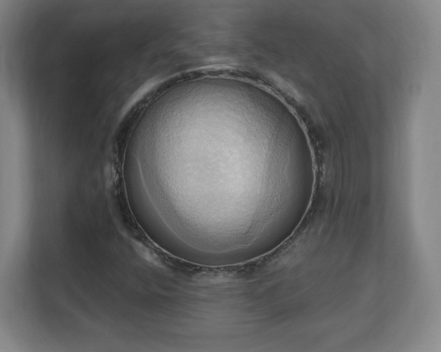 X0000110681400200906191356