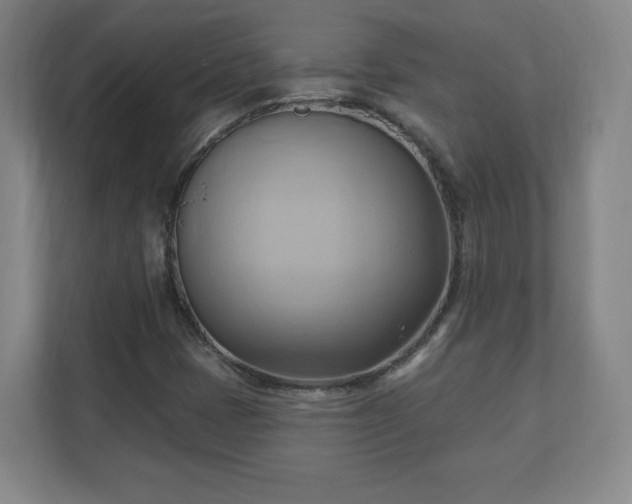 X0000110681401200906191356
