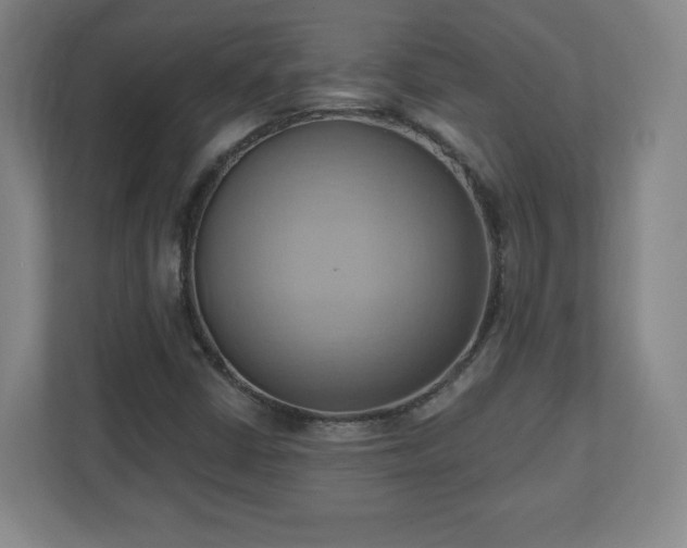 X0000110681402200906191356