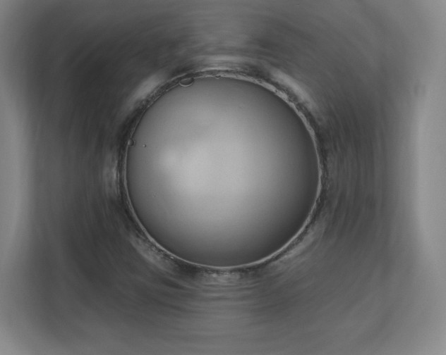 X0000110681403200906191356