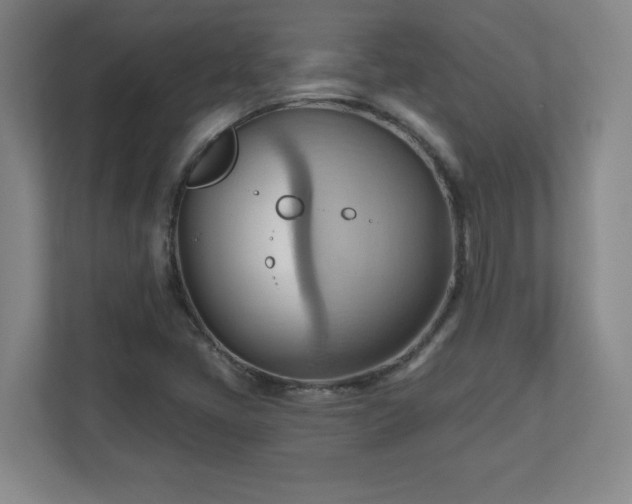 X0000110681405200906191356