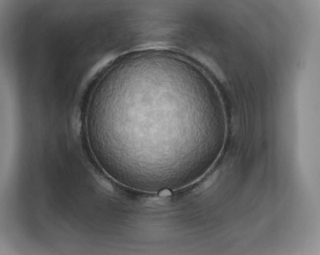 X0000110681406200906191356