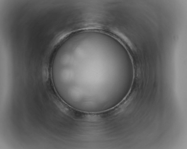 X0000110681407200906191356