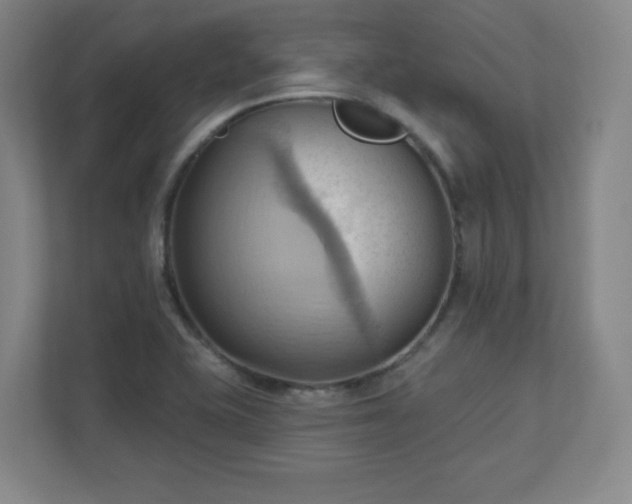 X0000110681415200906191356
