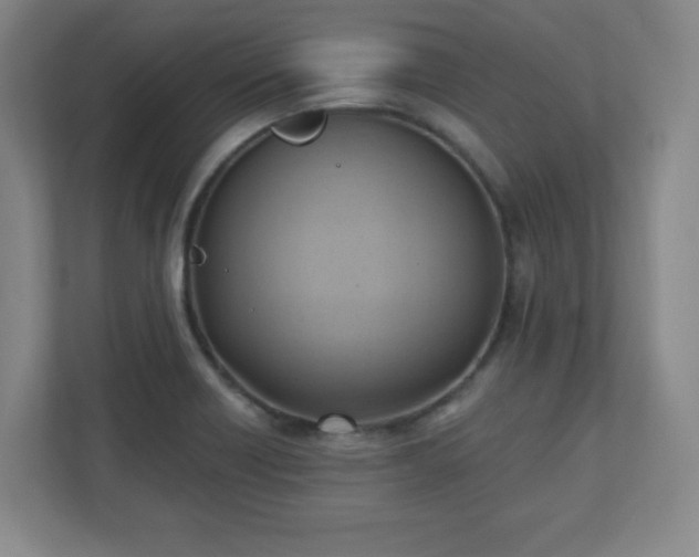 X0000110681418200906191356