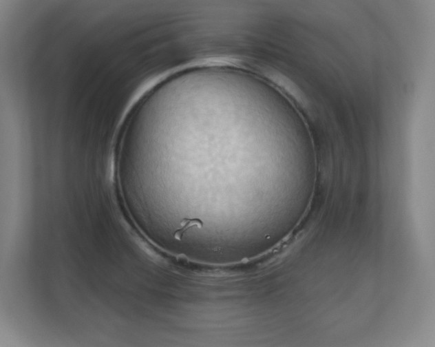X0000110681420200906191356