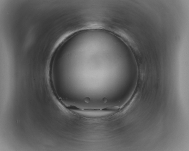 X0000110681422200906191356