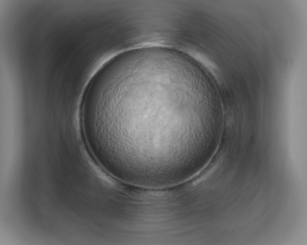 X0000110681423200906191356