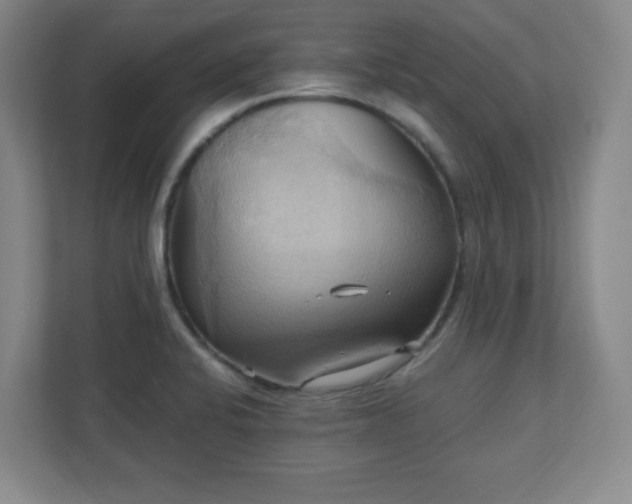 X0000110681424200906191356